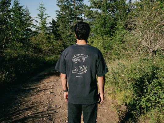 issue 002 - the claw